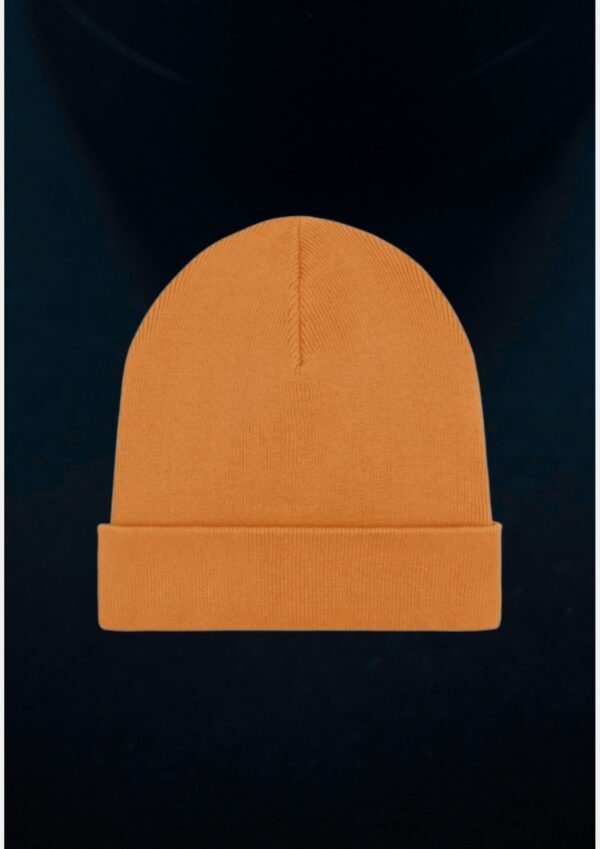 Beanies - Image 2